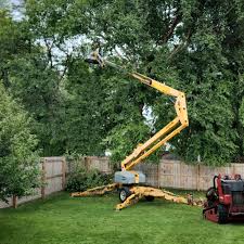 Best Commercial Tree Services  in Imperial, MO